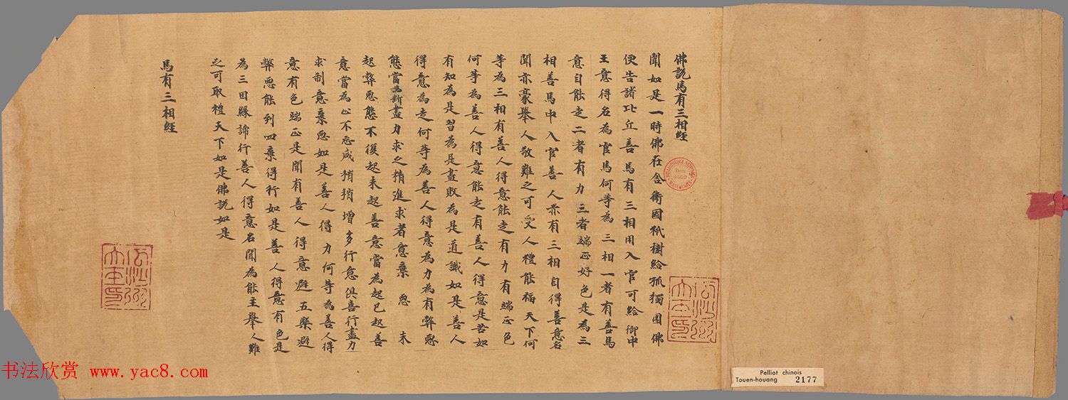 敦煌写经手稿《佛说马有三相经》