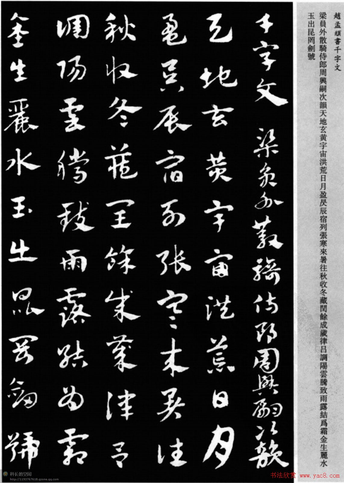 赵孟頫书法章草千字文(附释文)图片17P