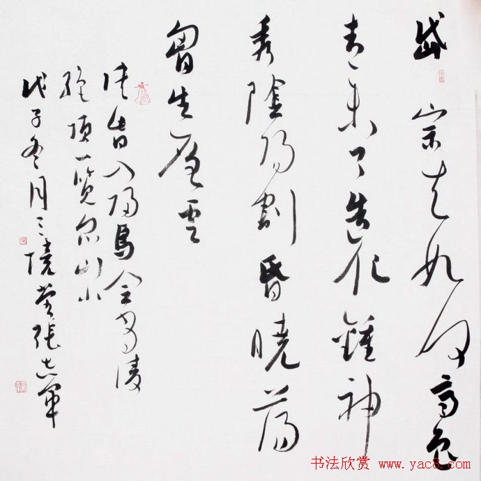 张志军书法作品草书欣赏