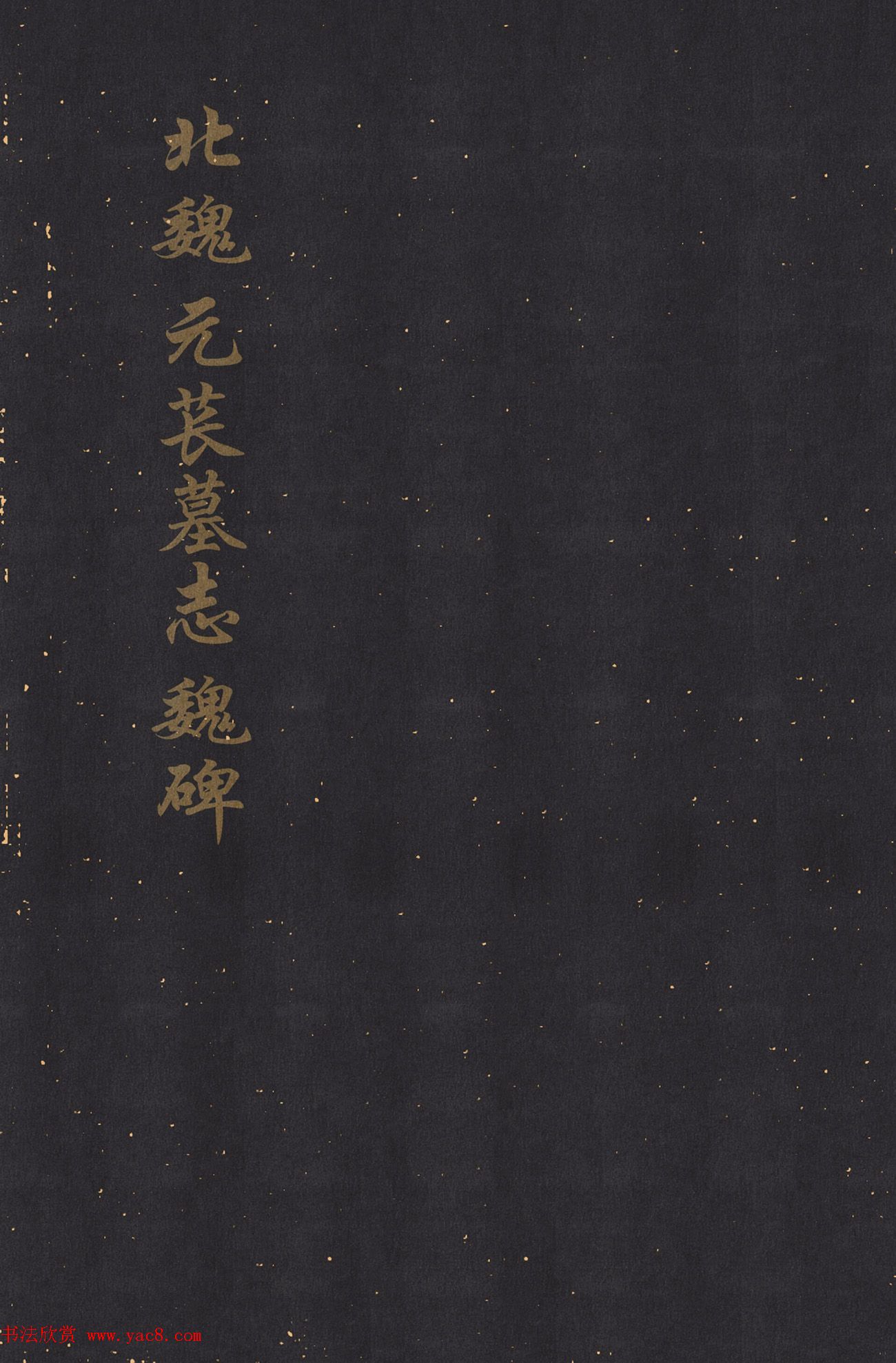 北魏楷书欣赏《元苌墓志》