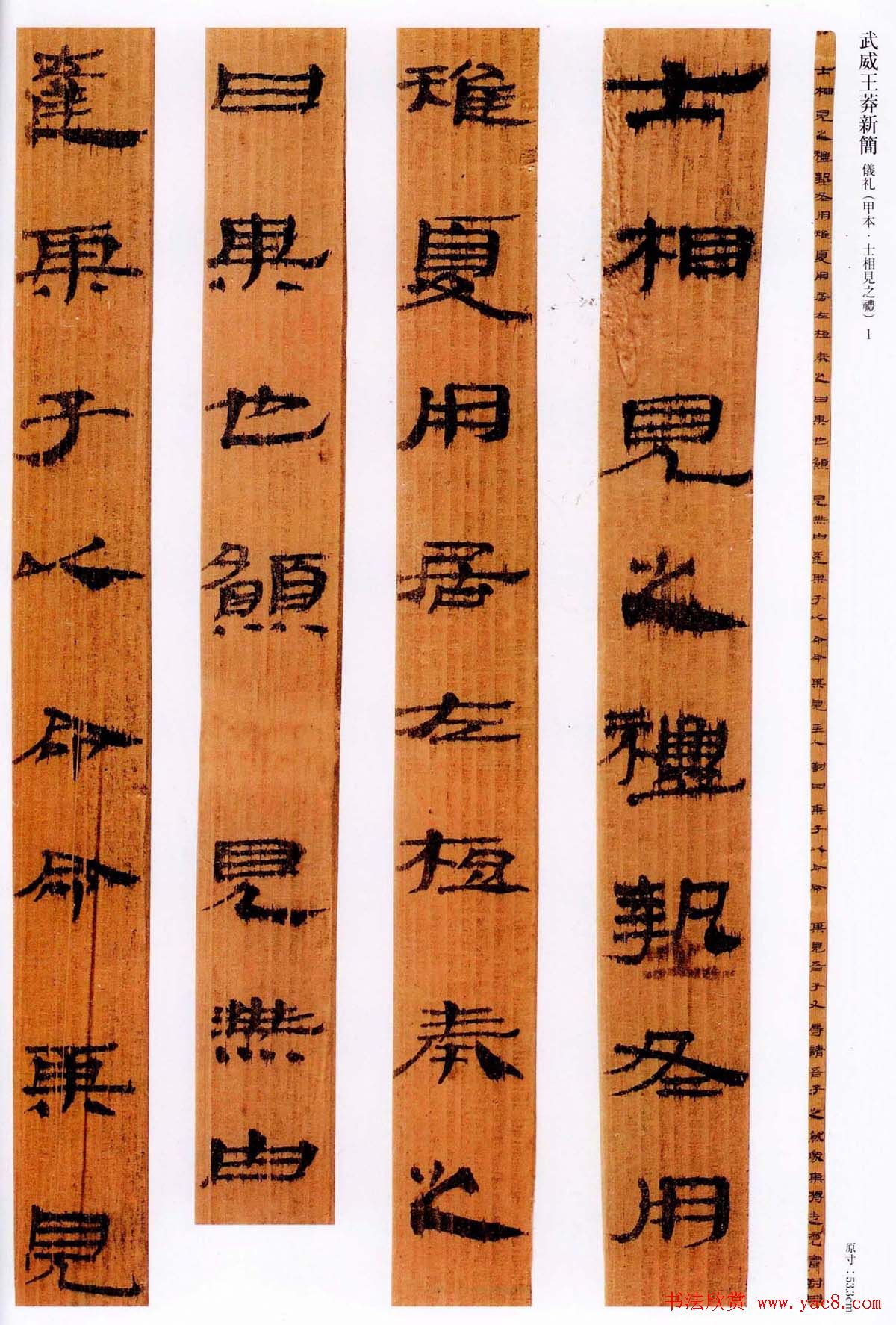 简牍名迹欣赏《武威王莽新简仪礼》