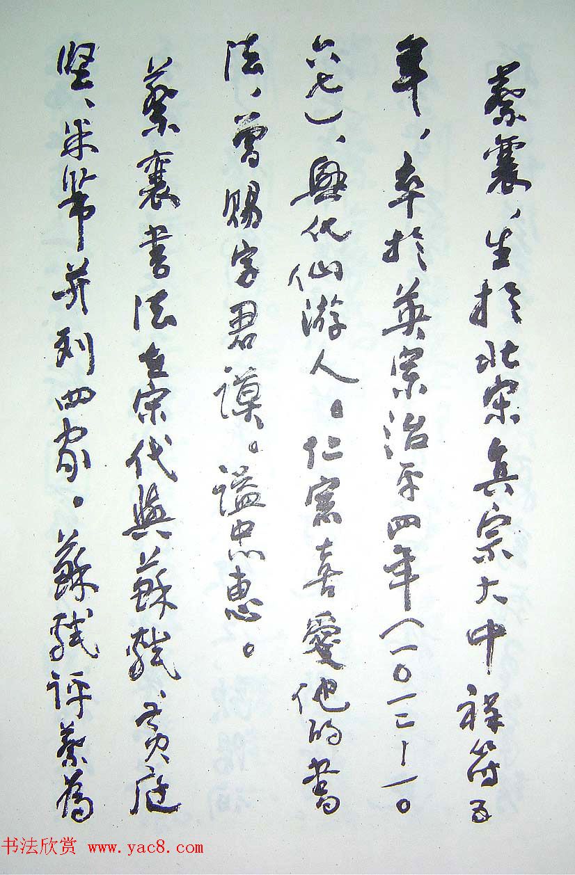 沈鹏行书书法题识《蔡襄简介》