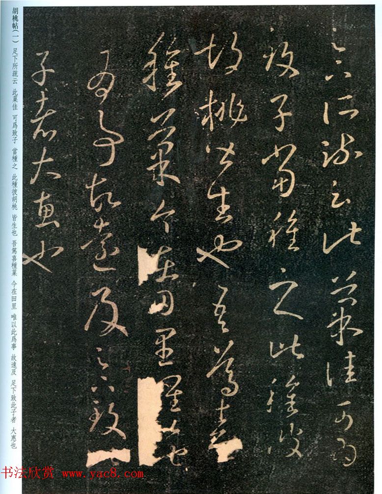 晋代王羲之草书欣赏《胡桃帖》两种