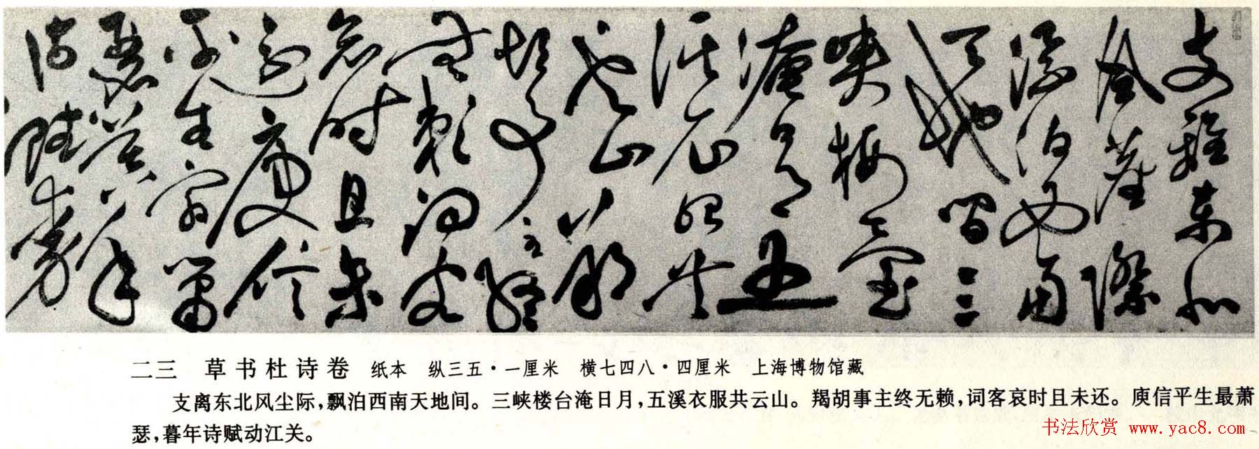 祝允明草书欣赏杜诗卷上海博物馆藏