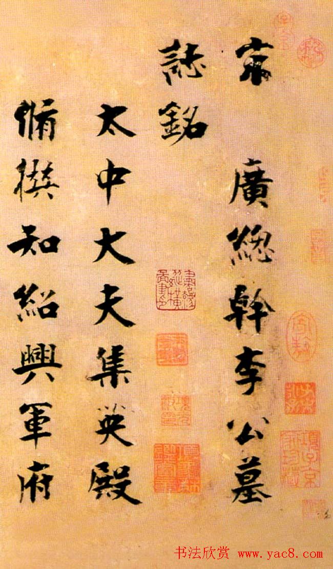 张即之楷书赏析《李衎墓志铭》