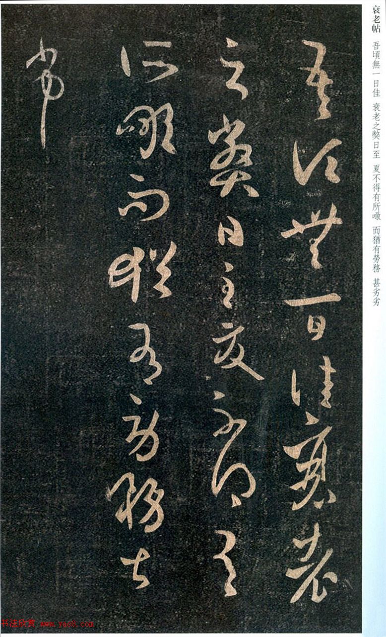 王羲之草书欣赏《衰老帖》