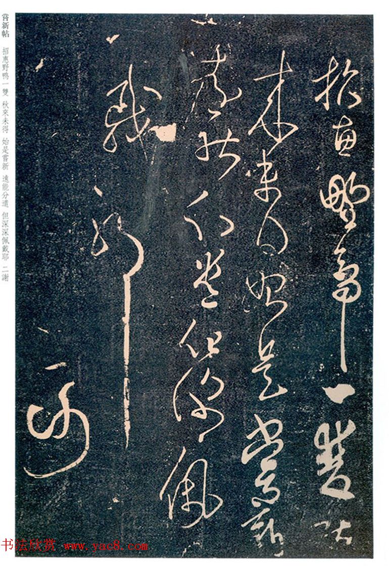 王羲之草书欣赏《野鸭帖》刻本