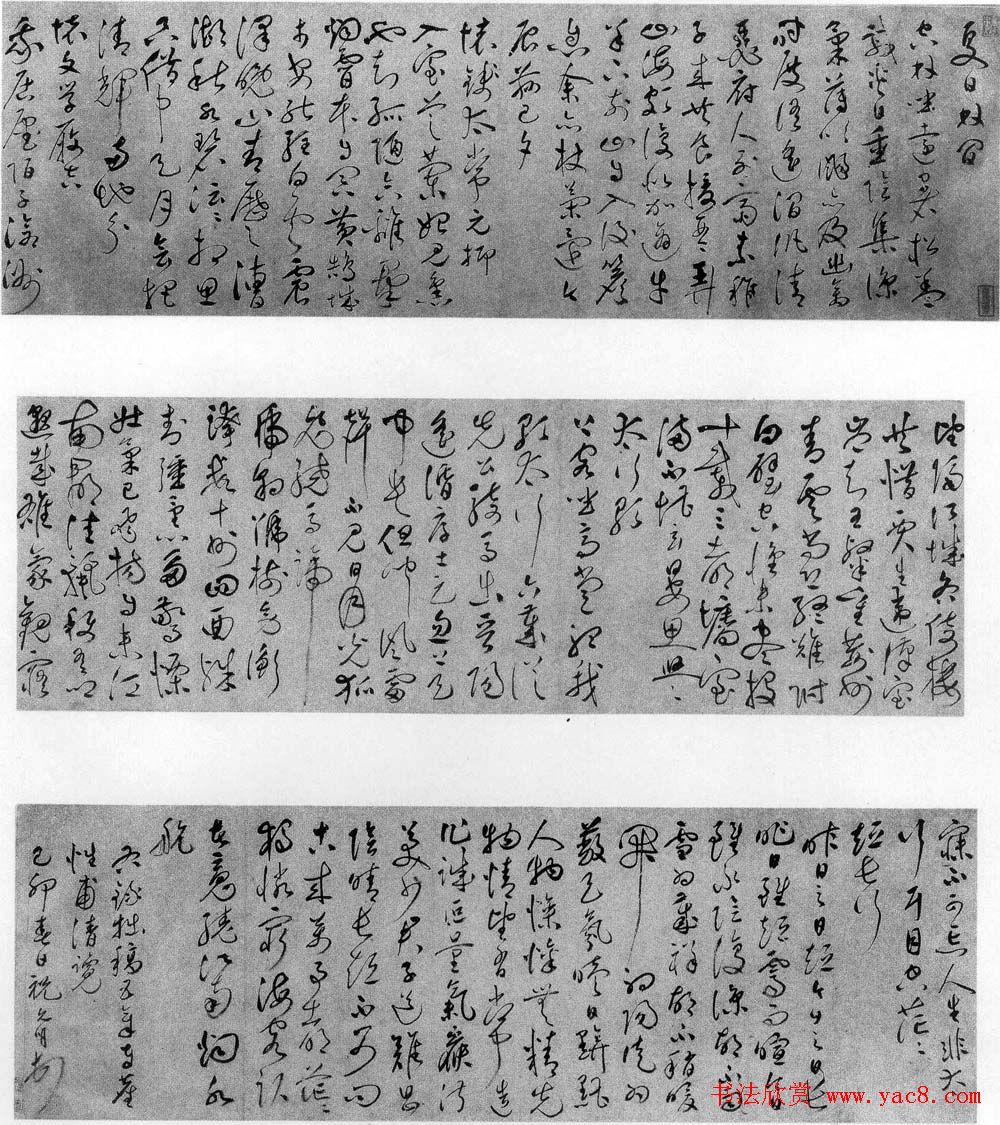 祝允明草书欣赏《自书诗卷五章》