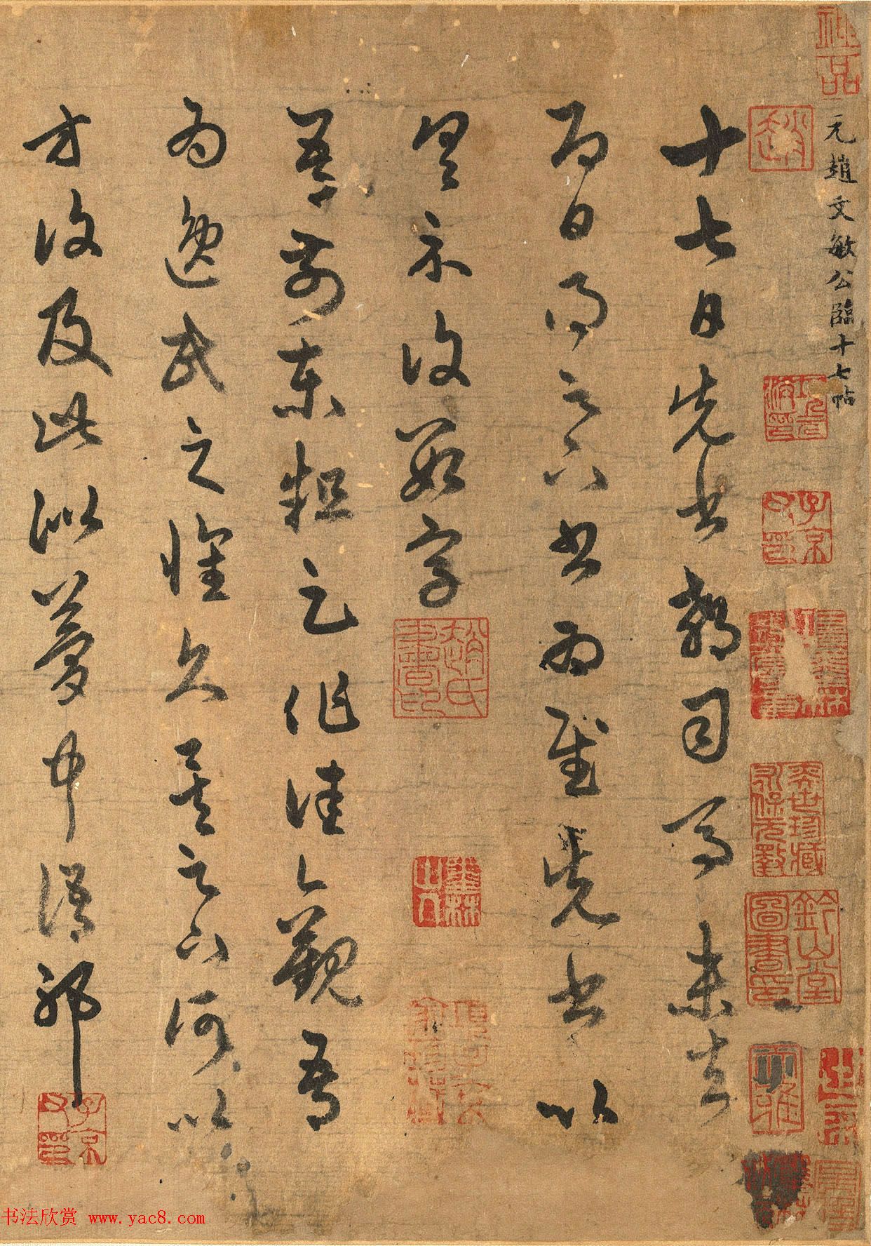 赵孟頫63岁草书《元赵文敏公临十七帖》