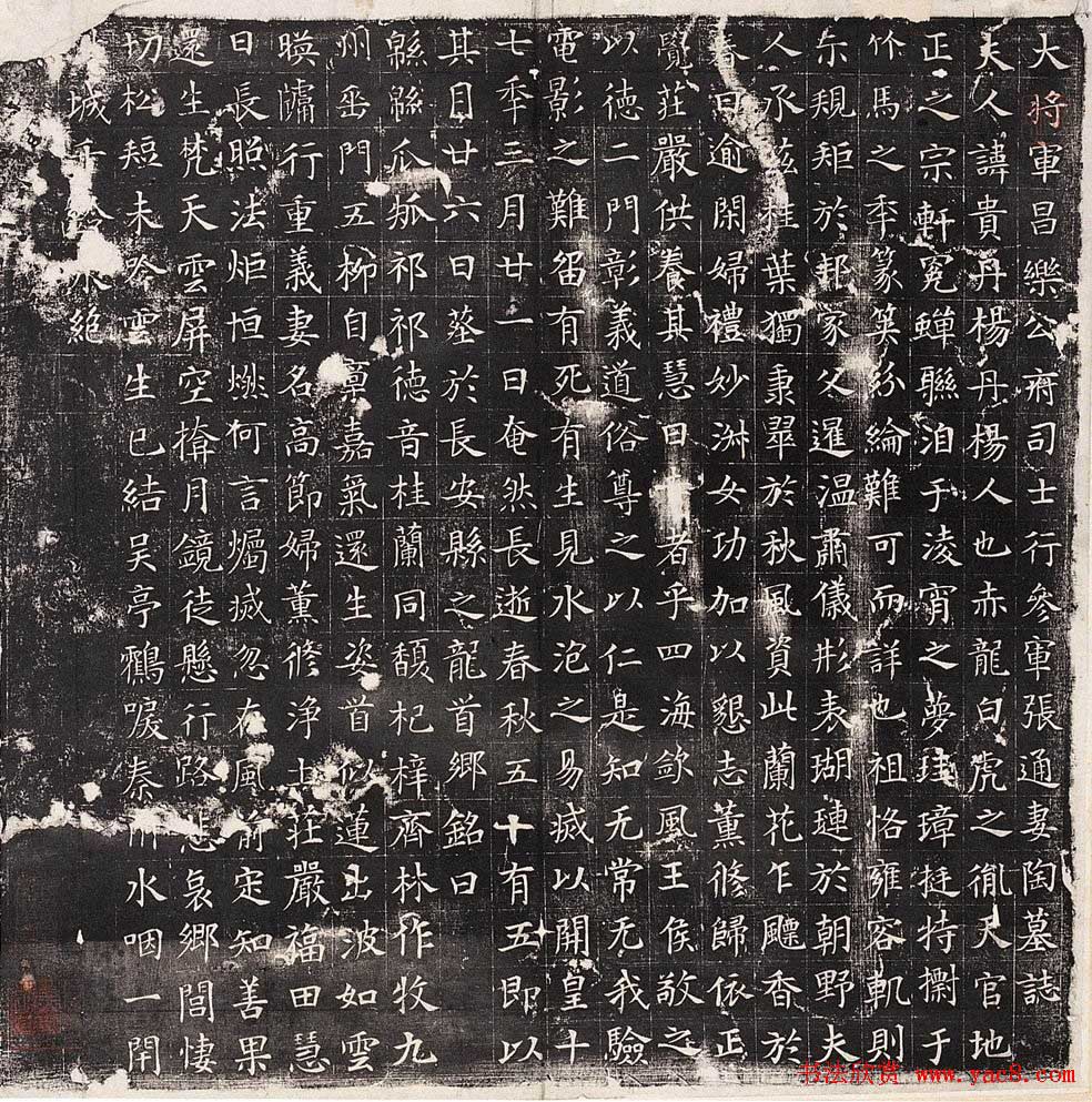 正书欣赏隋代《张通妻陶贵墓志》 正书欣赏隋代《张通妻陶贵墓志》