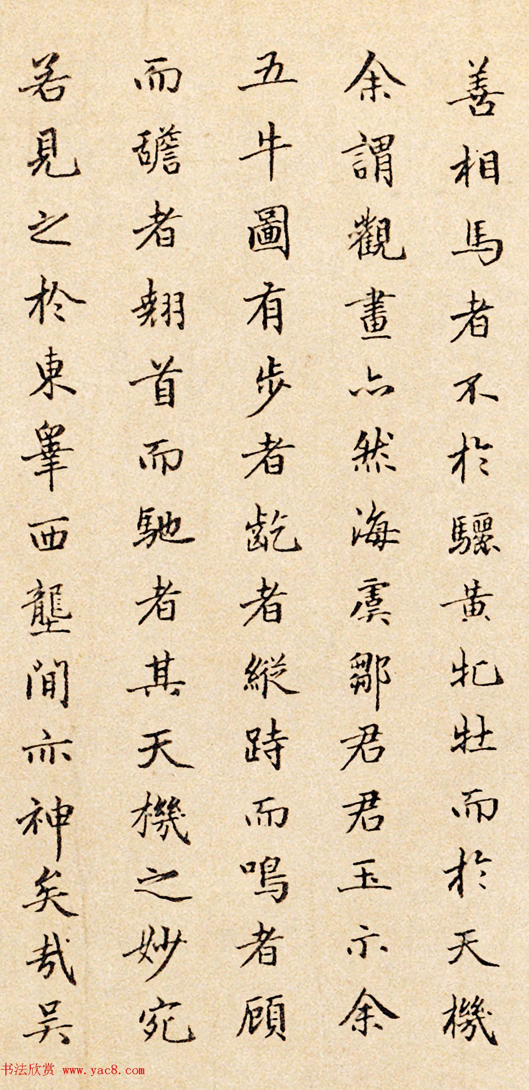 元代孔克表行楷书法墨迹跋五牛图