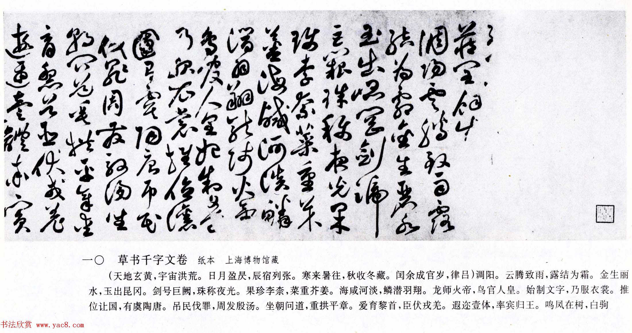 明代草书第一人祝允明《草书千字文卷》两种