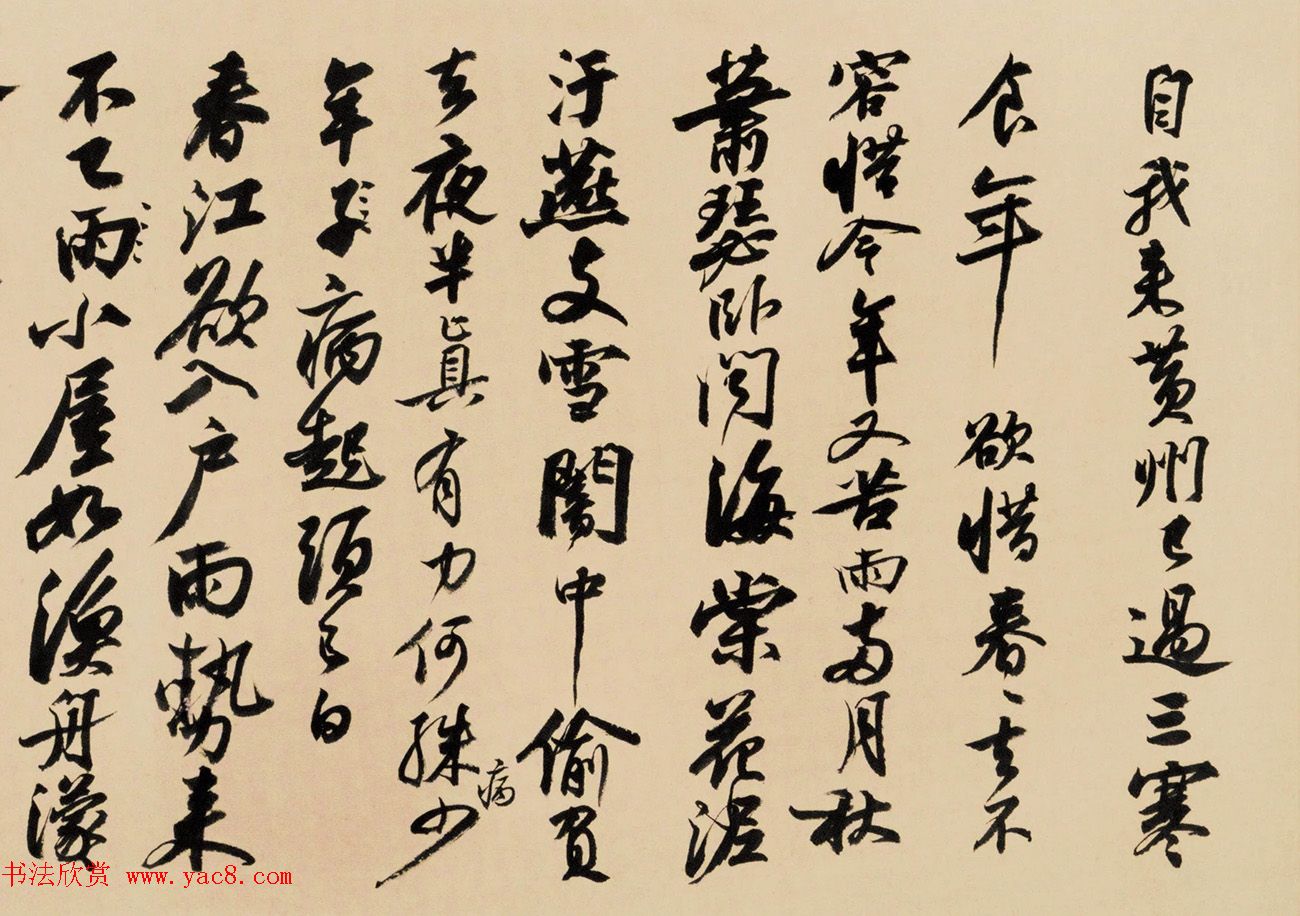 陈忠康书法视频临《黄州寒食帖》