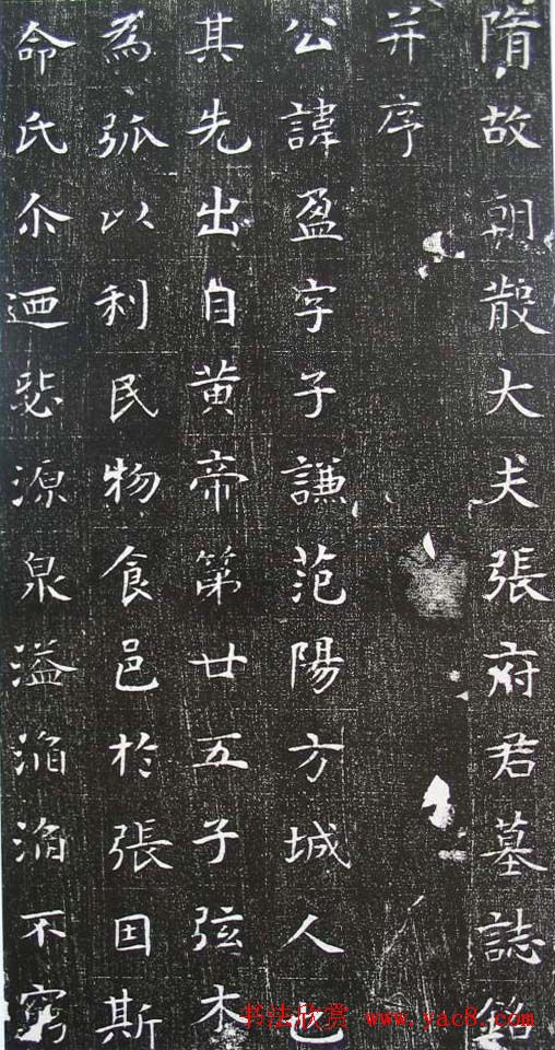 清雅楷法《隋张盈夫妇墓志》