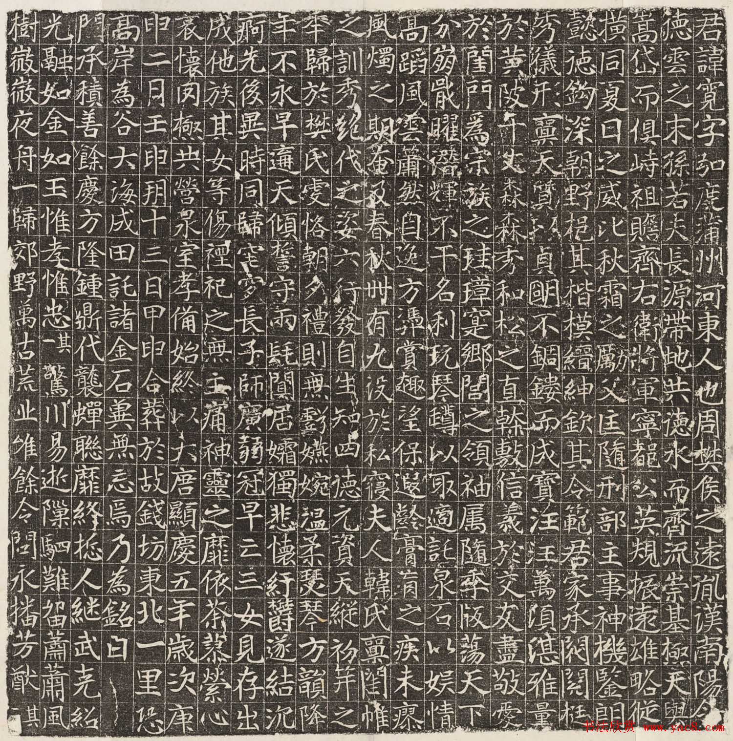 唐楷书欣赏《樊宽墓志》拓本全图