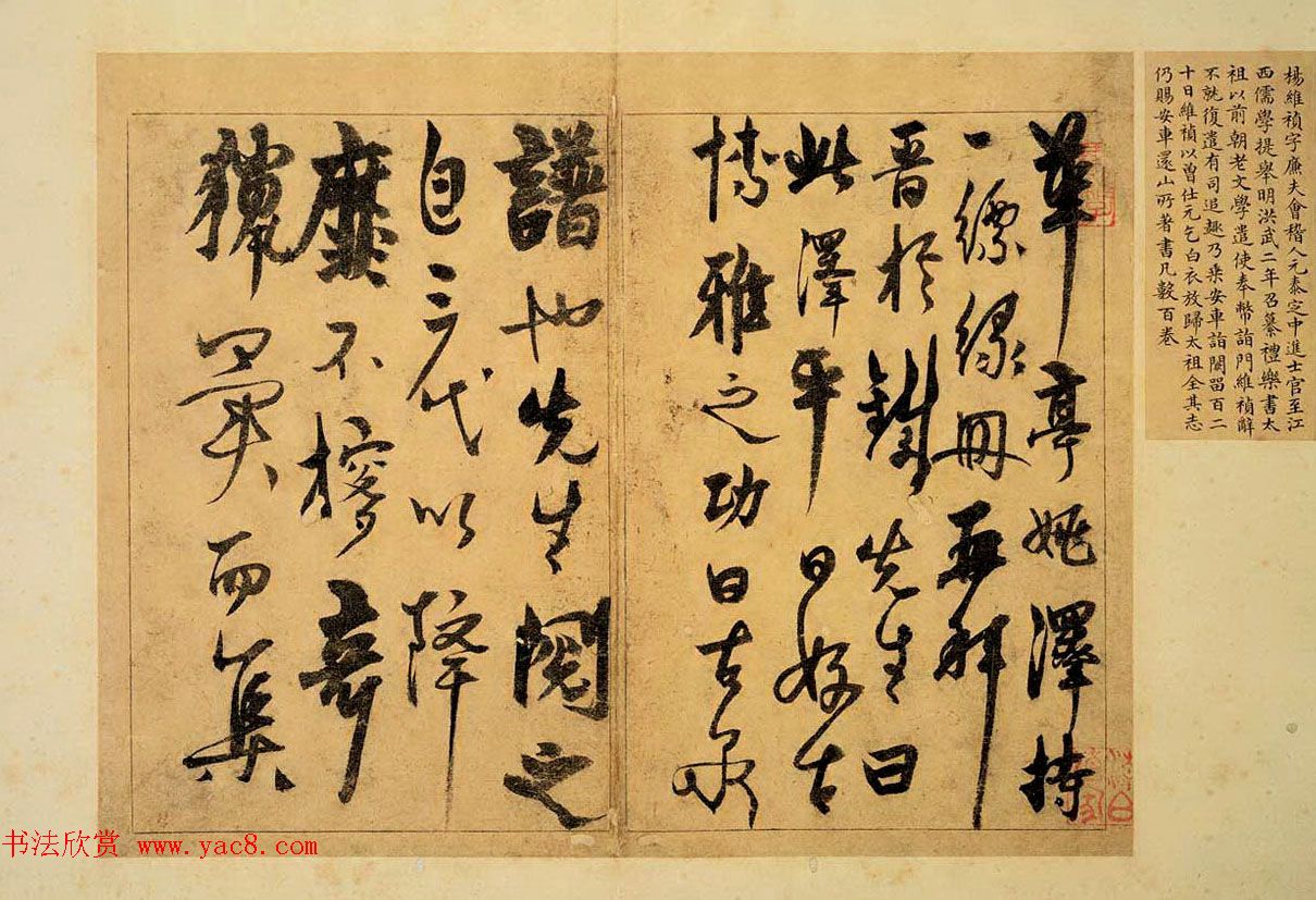 杨维桢晚年精品草书赏析《题古泉钱谱册》