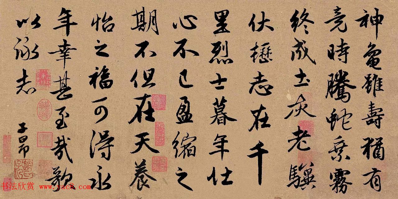 手机字帖:赵孟頫行书集字《龟虽寿》 手机字帖:赵孟頫行书集字《龟虽寿》