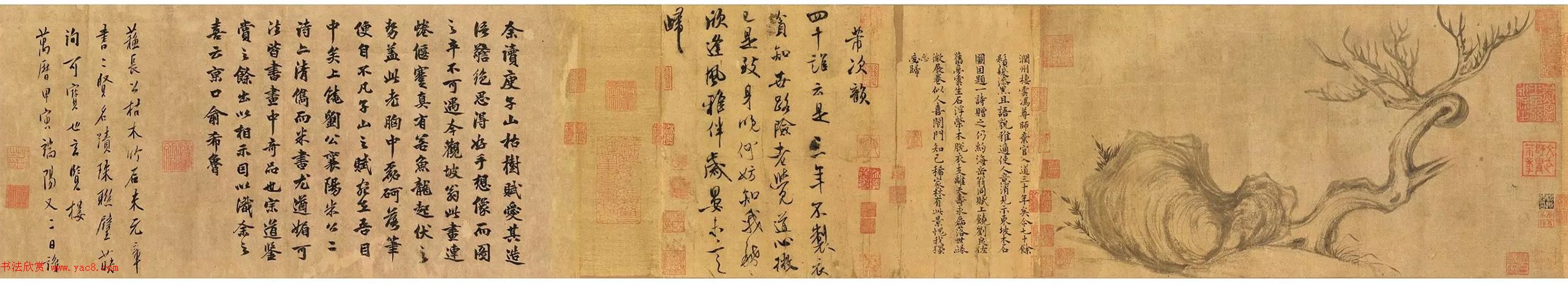 米芾行书题跋苏轼《枯木怪石图》