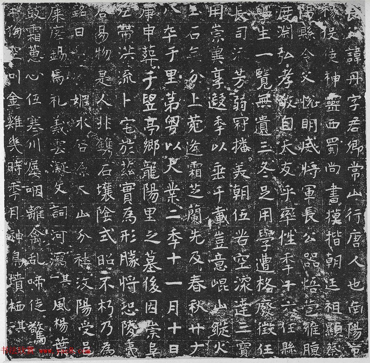 隋代碑志书法《秘丹墓志》