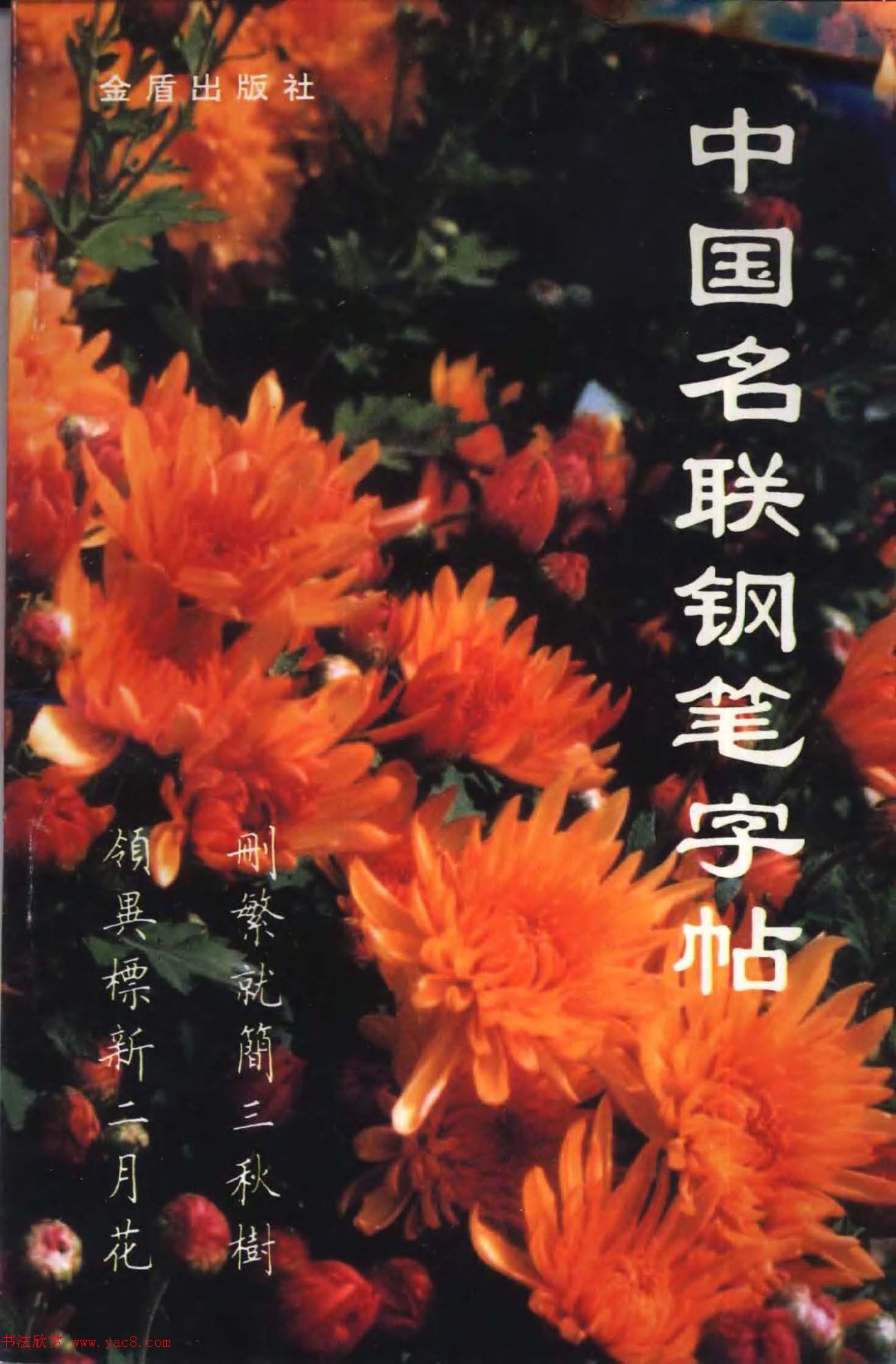 卢中南楷书《中国名联钢笔字帖》