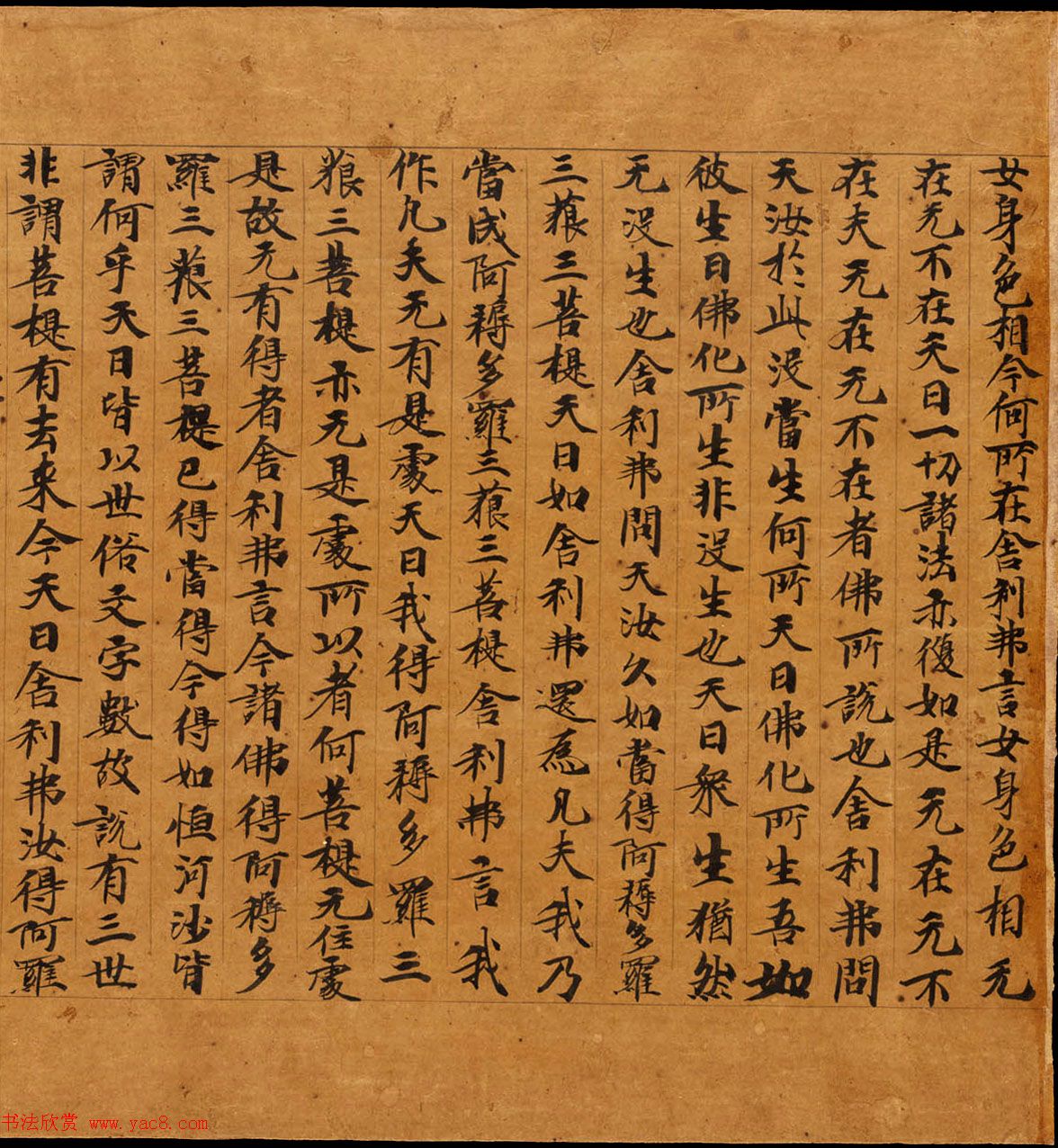 敦煌遗书精选《维摩诘所说经卷中》