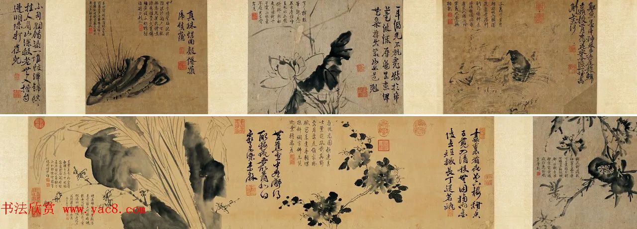 徐渭传世书画《水墨写生》卷 徐渭传世书画《水墨写生》卷