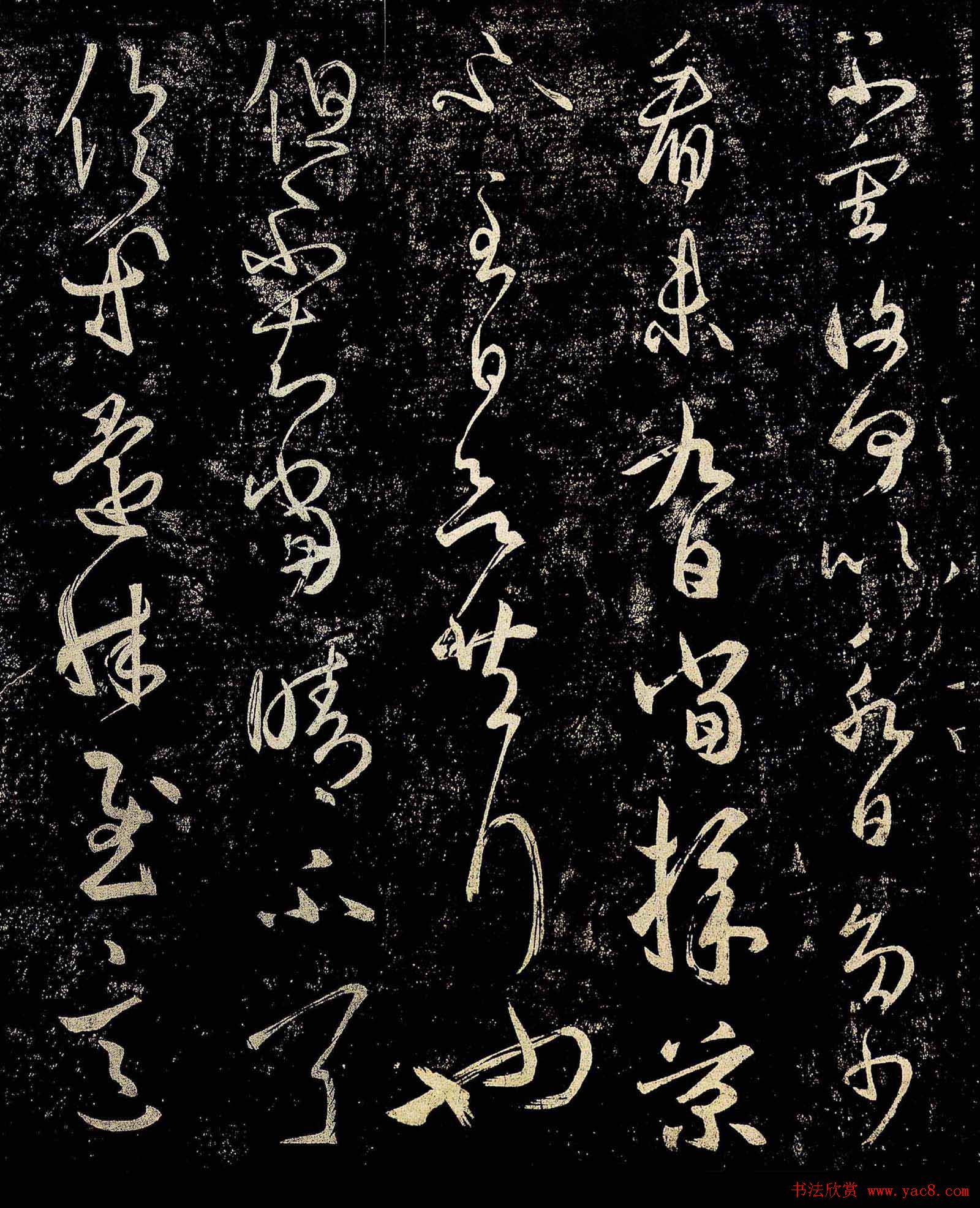 王羲之草书作品欣赏《采菊帖》四种