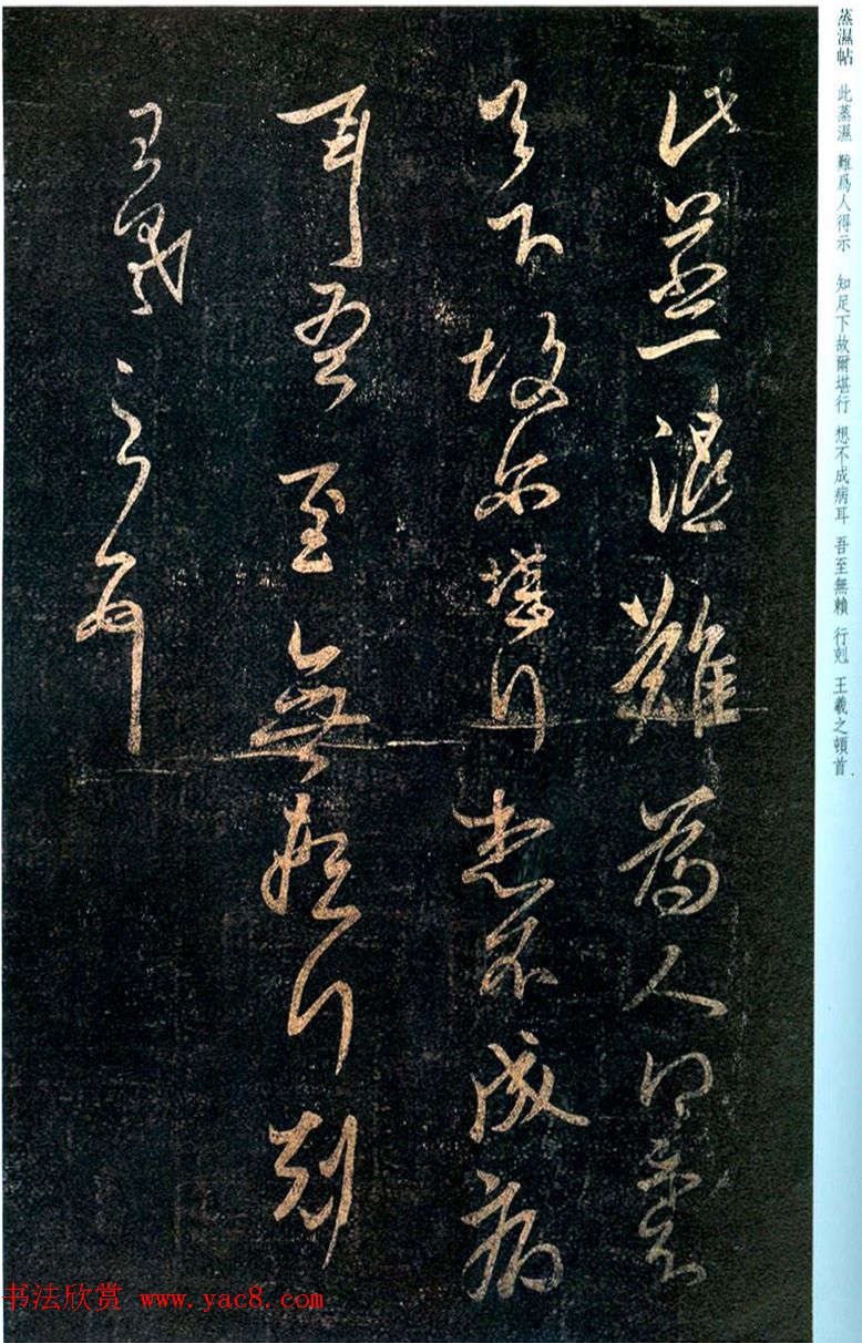 王羲之草书欣赏《蒸湿帖》+《爱为上帖》