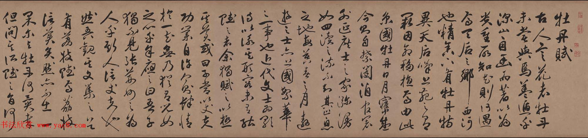 祝允明行草书法长卷欣赏《牡丹赋》