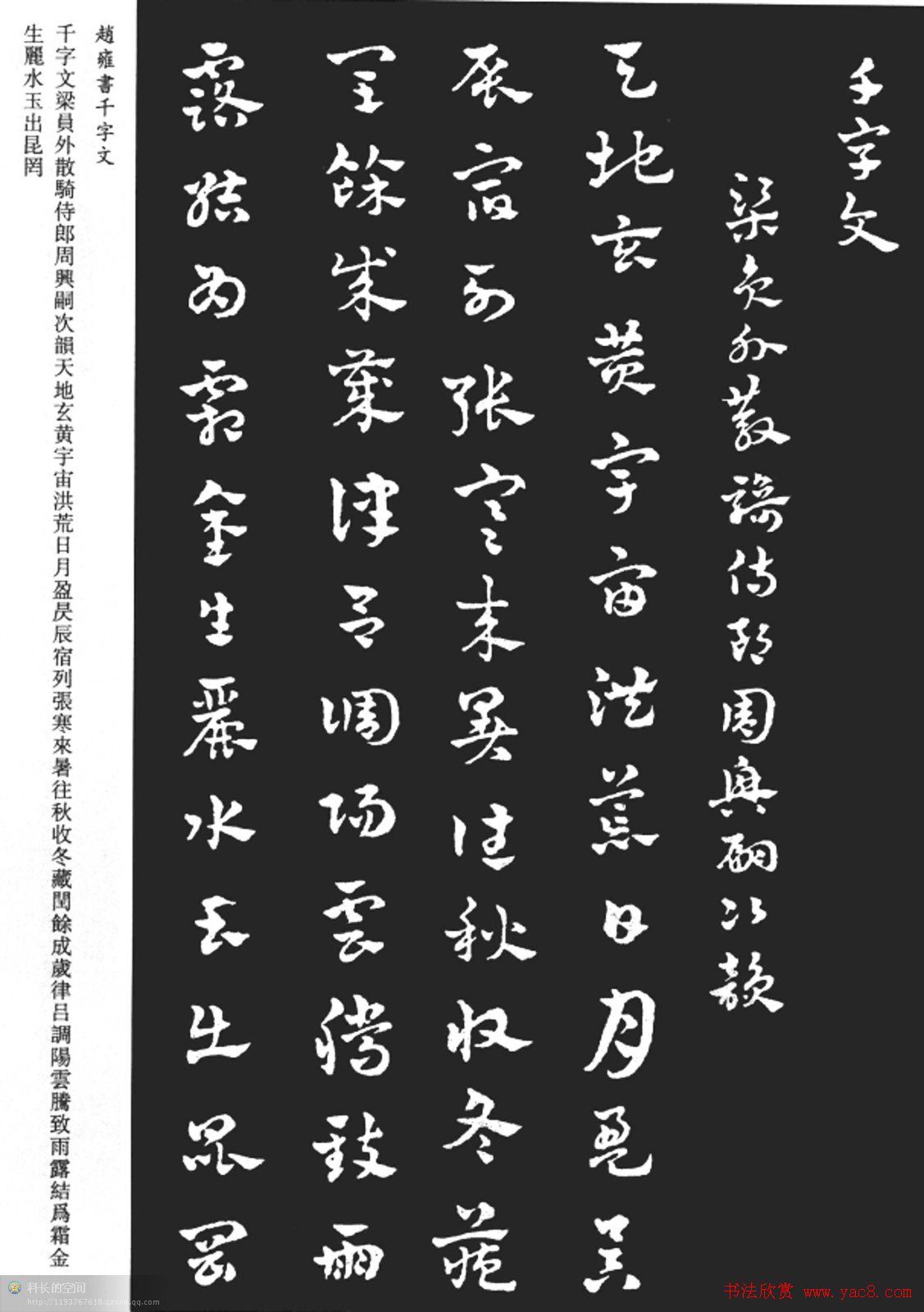 赵雍书法《章草千字文》大图欣赏