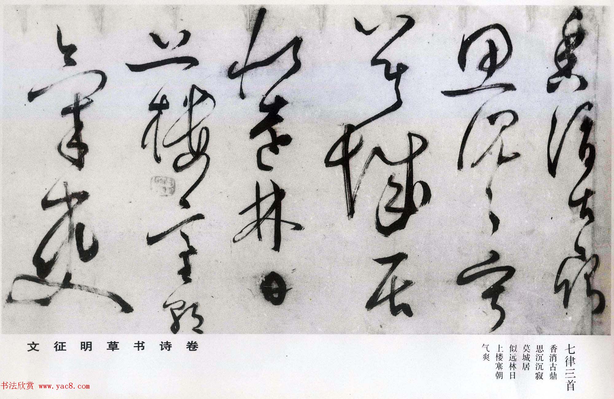 文徵明草书诗卷赏析《七律诗三首》