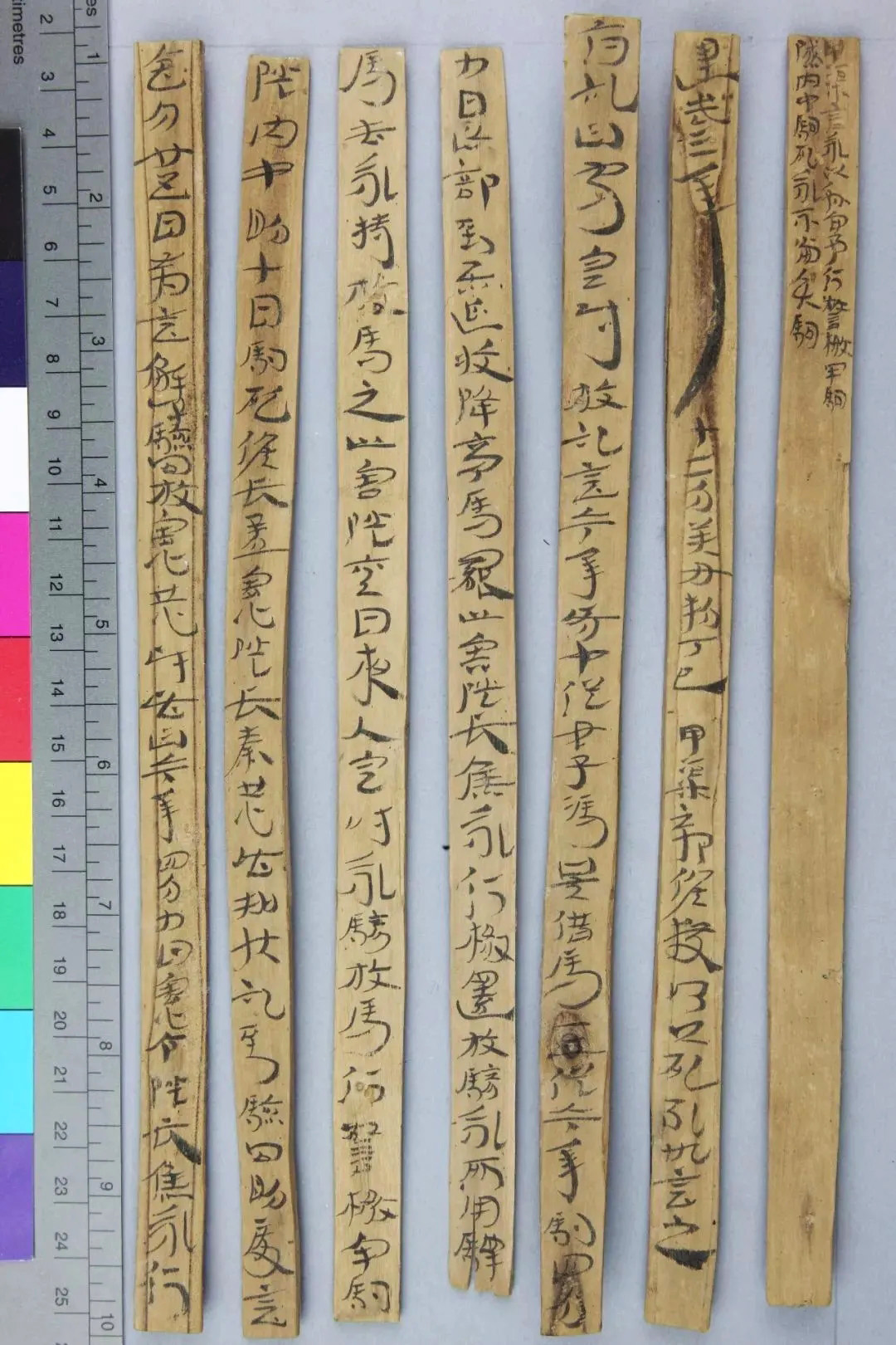 东汉章草隶体木简《误死马驹册》