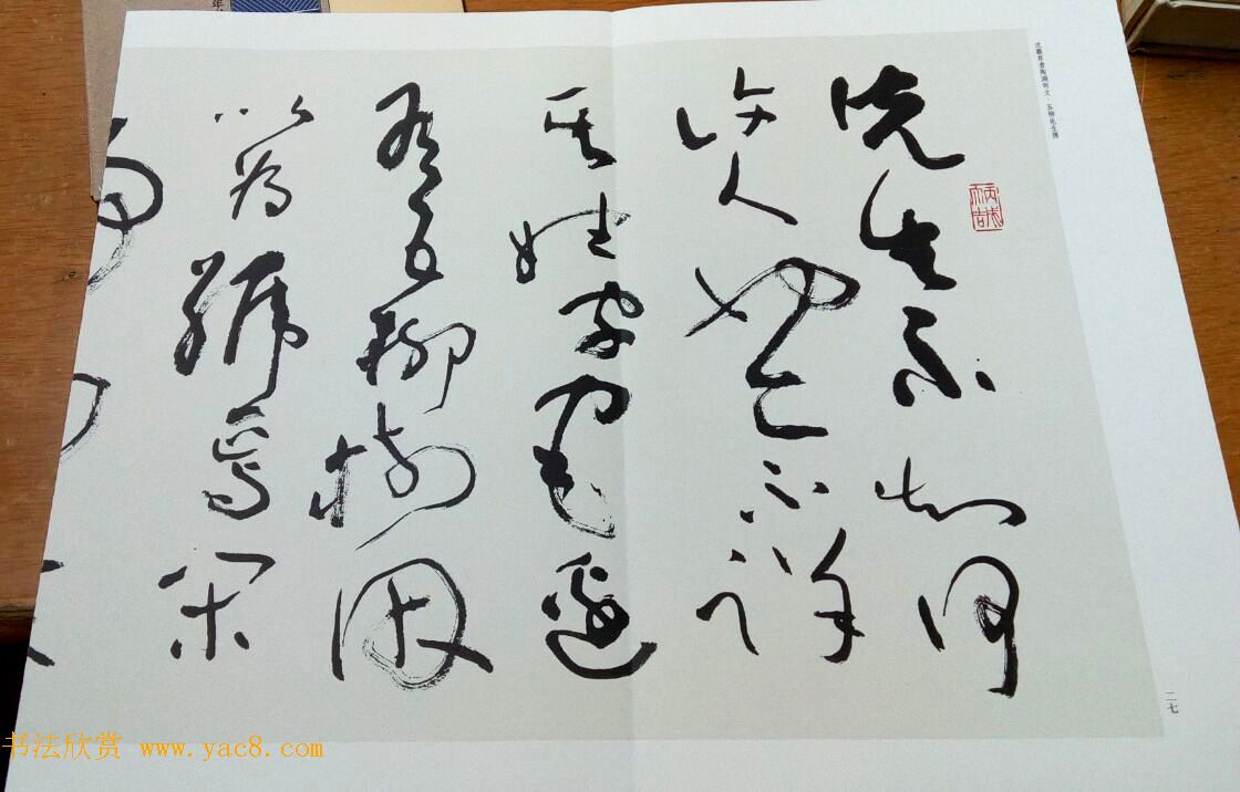 沈鹏草书欣赏《五柳先生传》