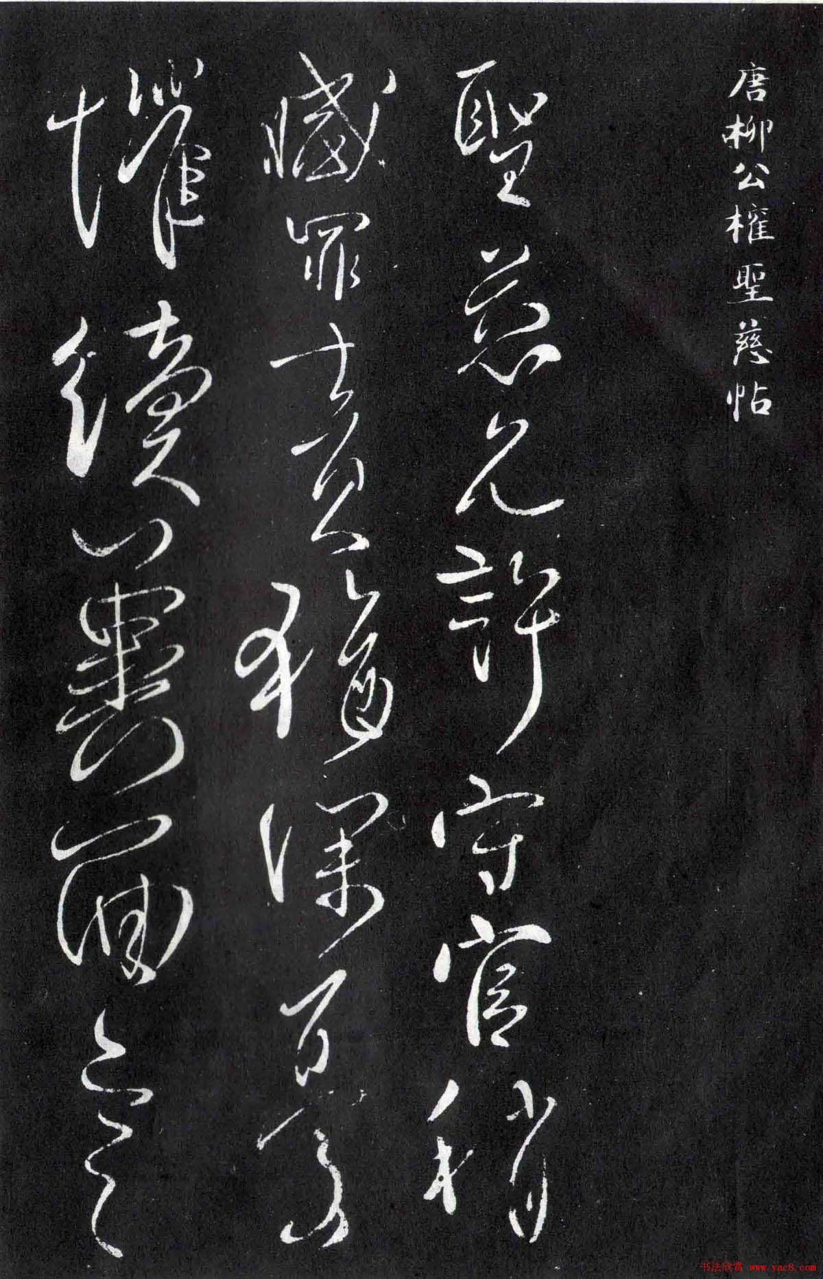 柳公权行草书法欣赏《圣慈帖》等