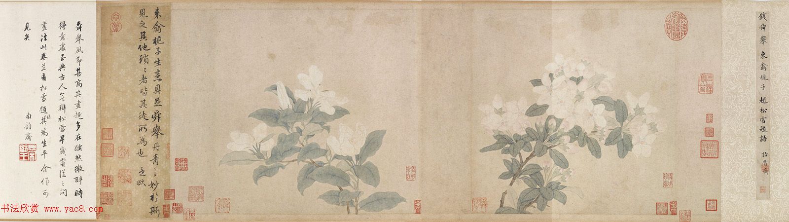 赵孟頫书法题跋《来禽栀子花图卷》