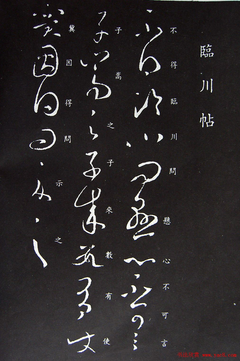 王羲之草书书法欣赏《临川帖》