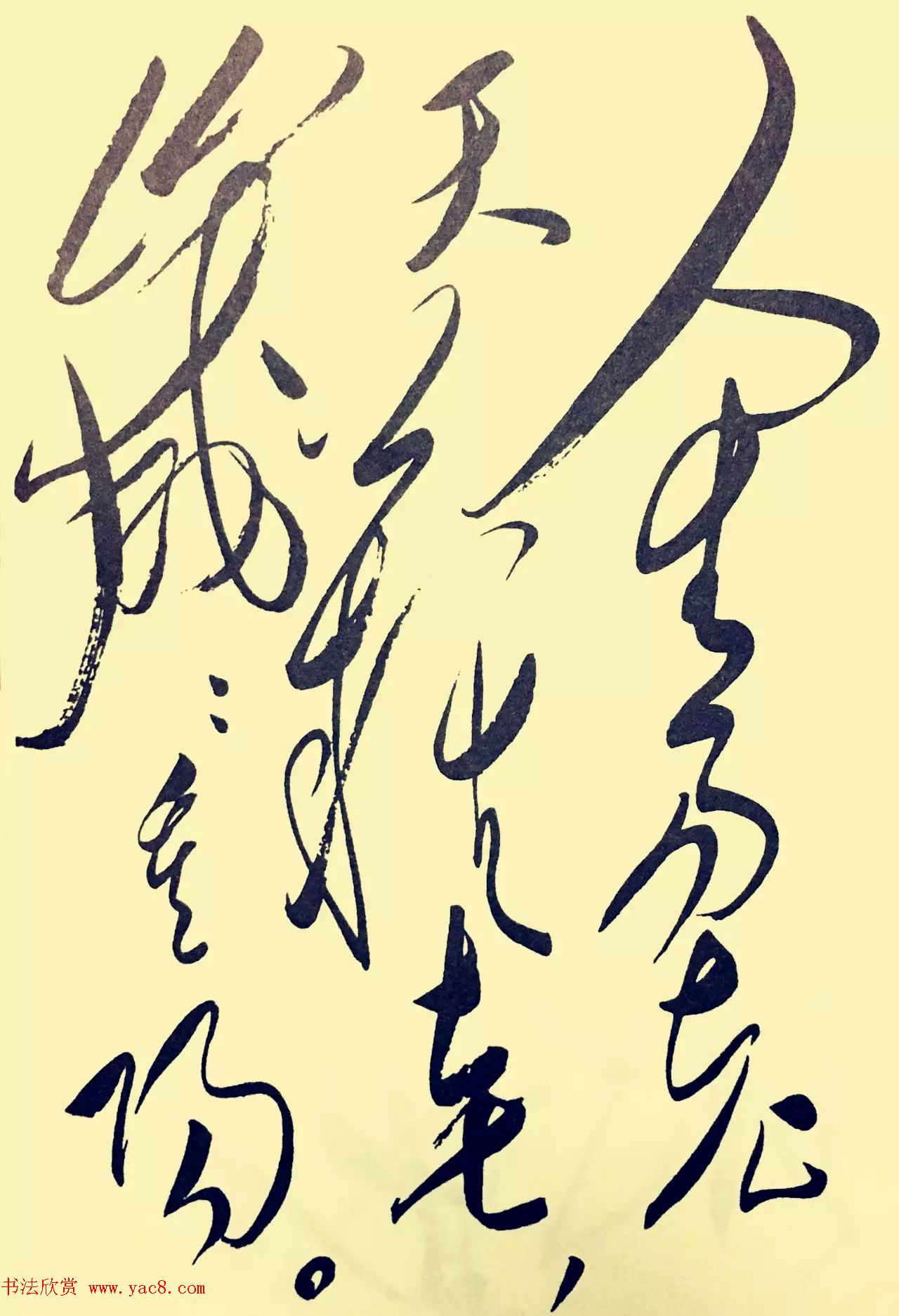 毛泽东草书欣赏《采桑子·重阳》 毛泽东草书欣赏《采桑子·重阳》