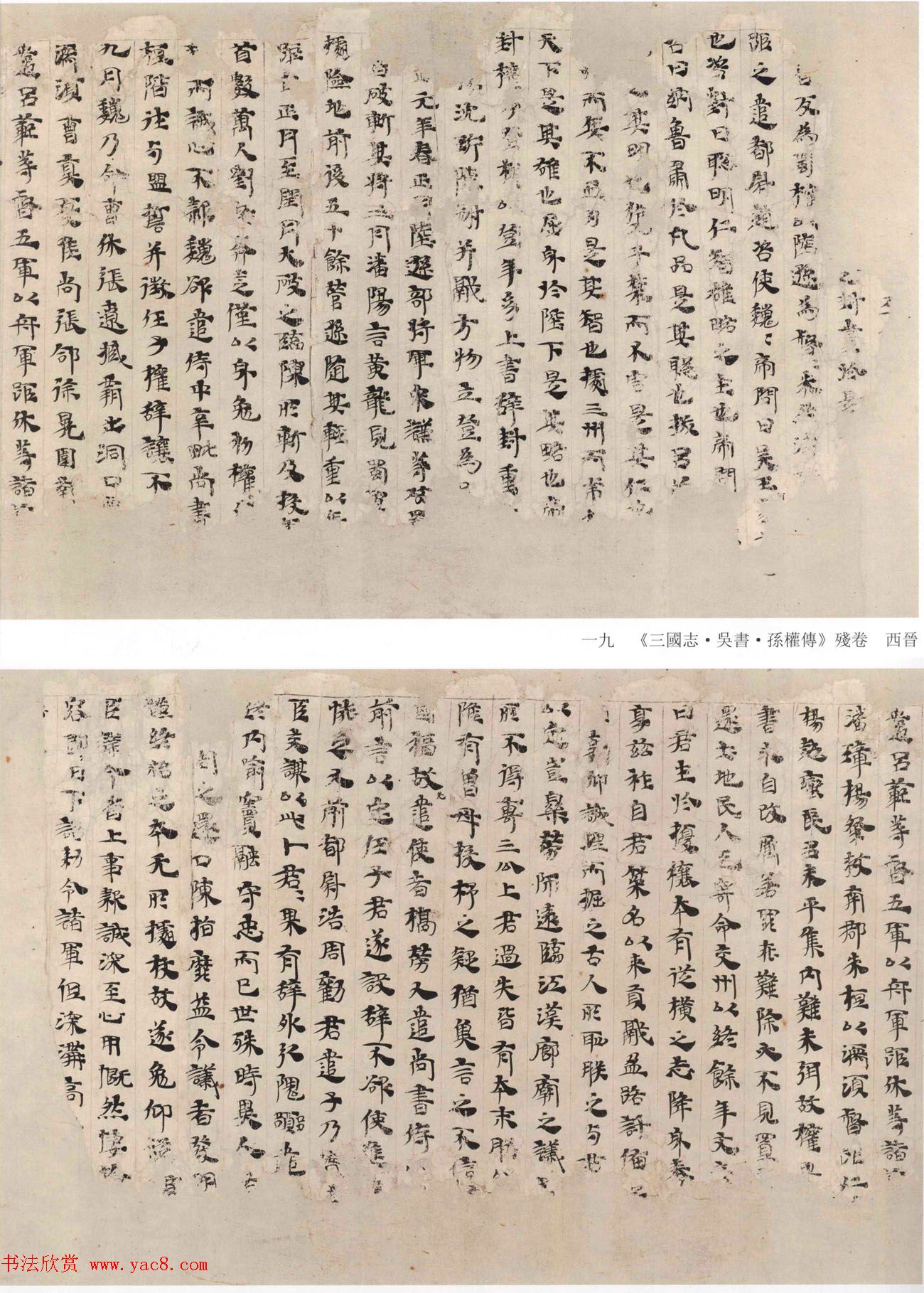 晋代写本《三国志·吴书·孙权传》残卷