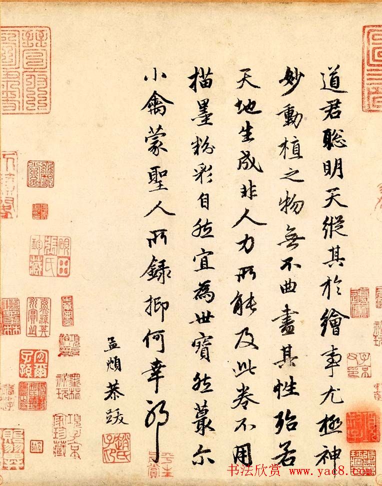 赵孟頫行书欣赏《跋赵佶竹禽图》