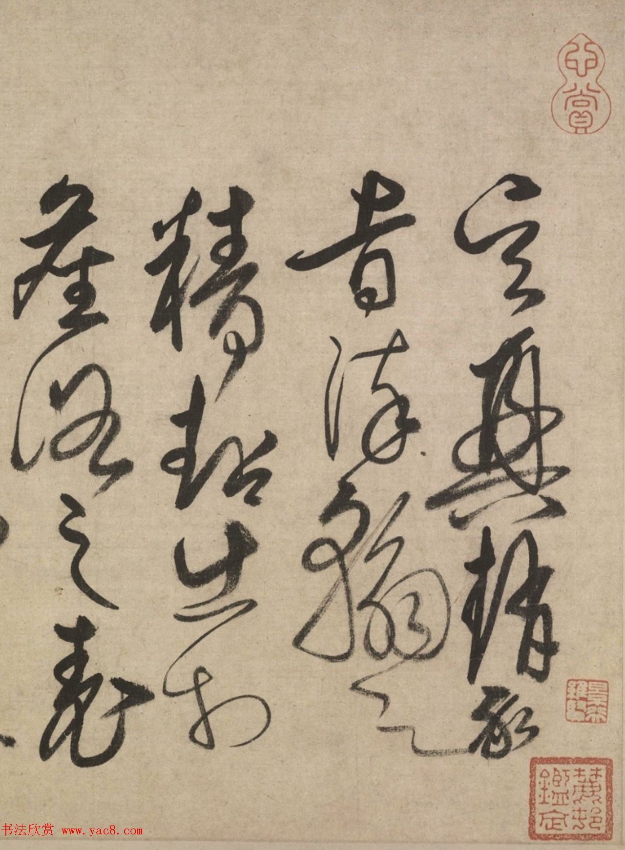 柳贯草书跋赵孟頫草书千字文卷