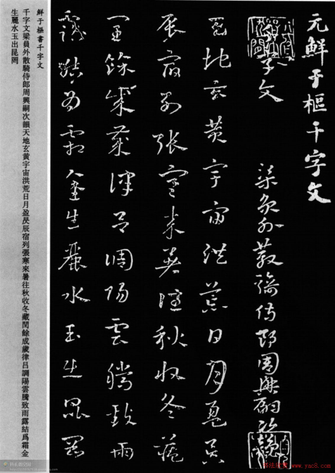 鲜于枢章草书法欣赏《千字文》大图