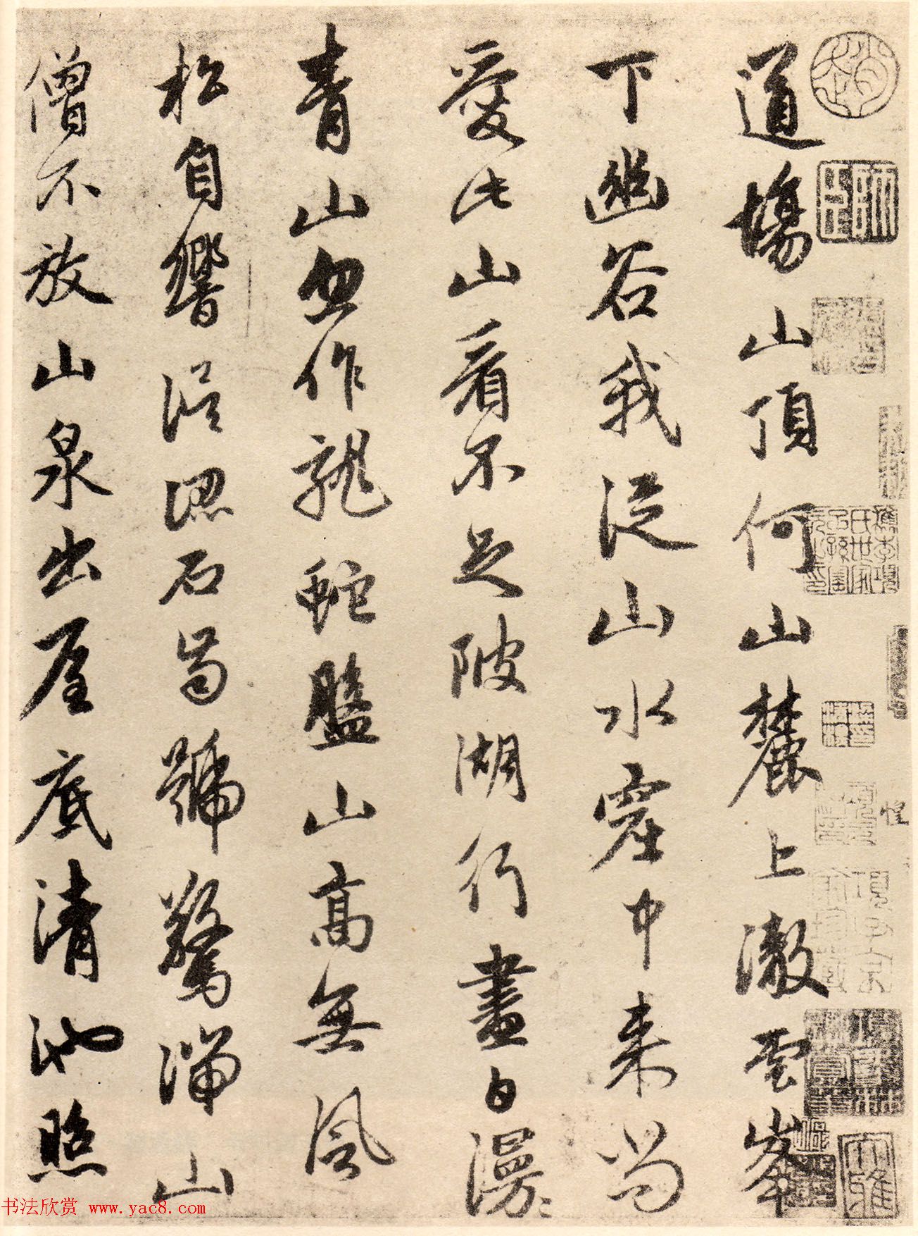 赵孟頫书法真迹赏析《道场诗帖》两种