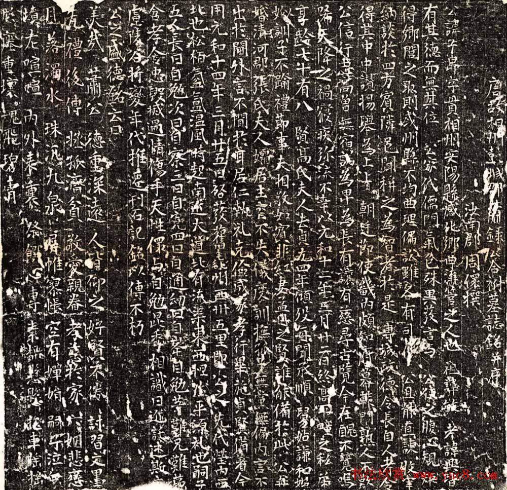 唐萧子昂及夫人高氏合葬墓志