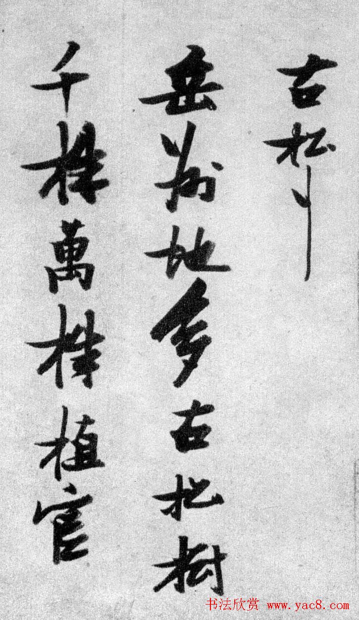 晚明张瑞图行书欣赏《古松行》