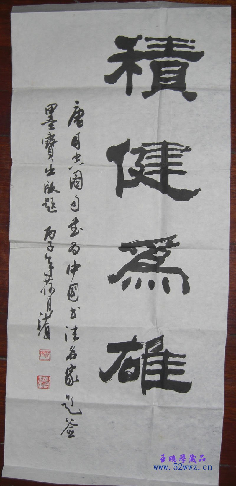 沙舟书法题字：积健为雄