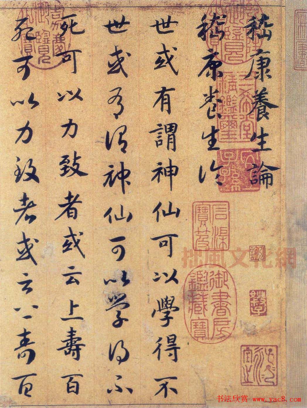 宋高宗赵构真草书法欣赏《嵇康养生论卷》