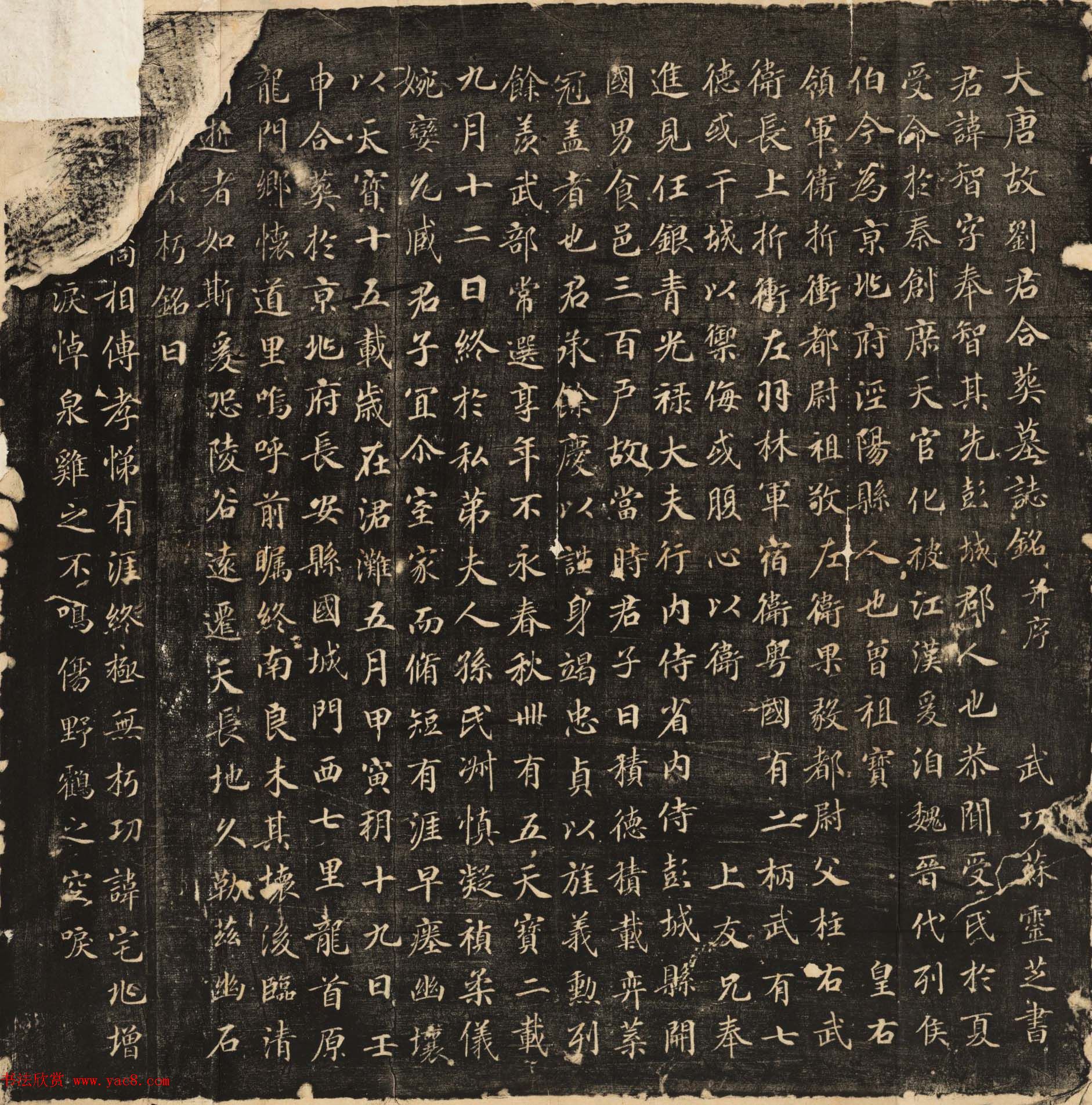 苏灵芝书法欣赏《刘智墓志铭》高清大图