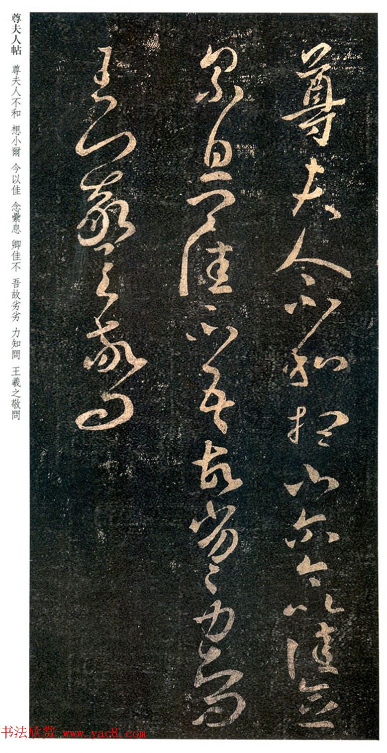 王羲之书法草书欣赏《尊夫人帖》