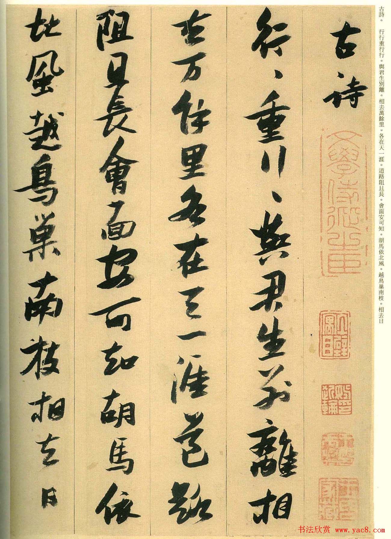 张瑞图行草书法欣赏古诗十九首