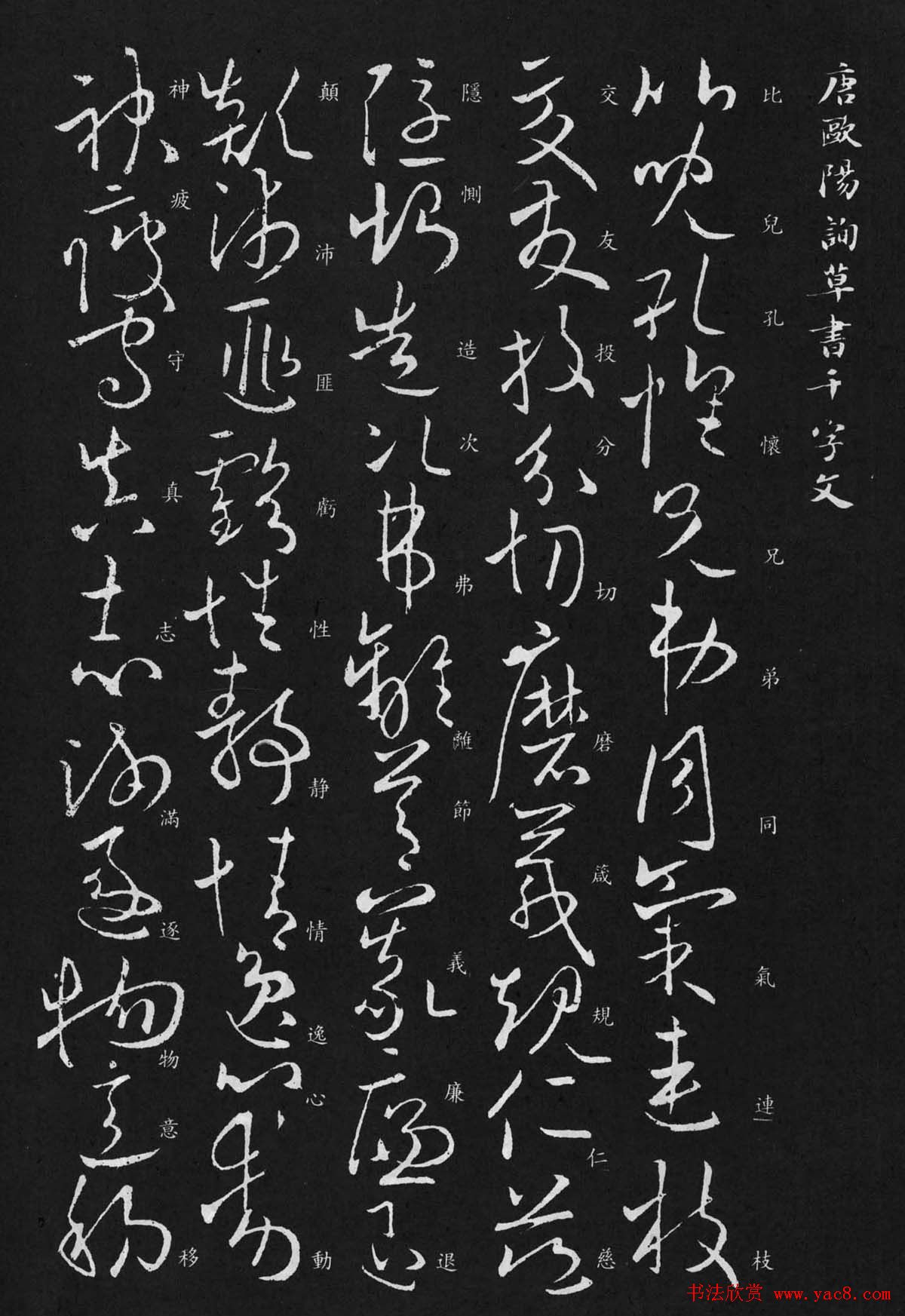 欧阳询书法欣赏草书千字文